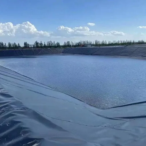 Aquacultuur Visvijver Geomembraan