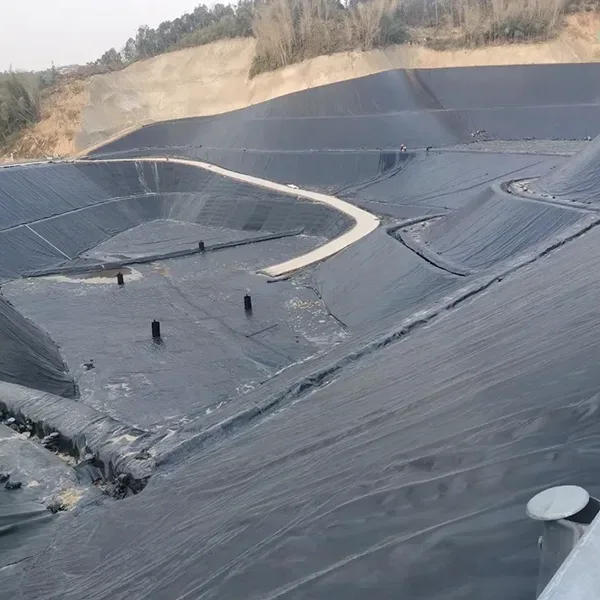 Geomembraanvoering