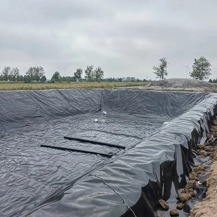 Biogasvergister Geomembraan