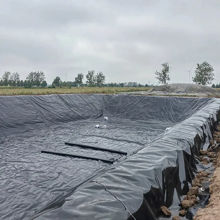Geomembraanvoering voor visvijvers