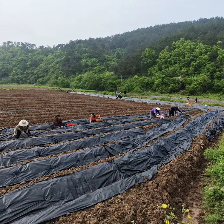 UV Resistant Landscape Fabric