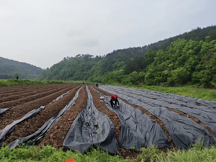 Slope Protection Geotextile Fabric
